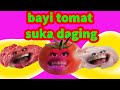 BAYI TOMAT SUKA DAGING XOXOXOXO (PARODI SAYUR BUAH GILA )