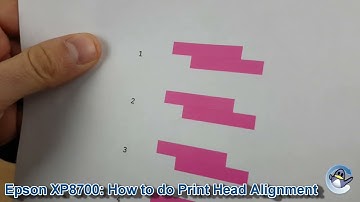 Epson Expression Photo XP-8700: How to do Print Head Alignment (Vertical and Horizontal)