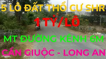 (Ms 134♥️Đã Bán) 5 Lô Thổ Cư Mật Tiền Kênh 6m, Phước Hậu, Cần Giuộc, Long An | Bđs Long An