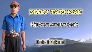 Download lagu Malu Tapi Mau