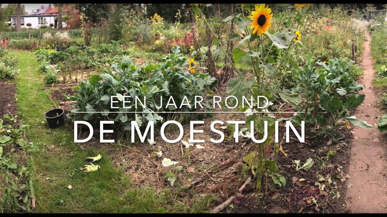Moestuinvideo