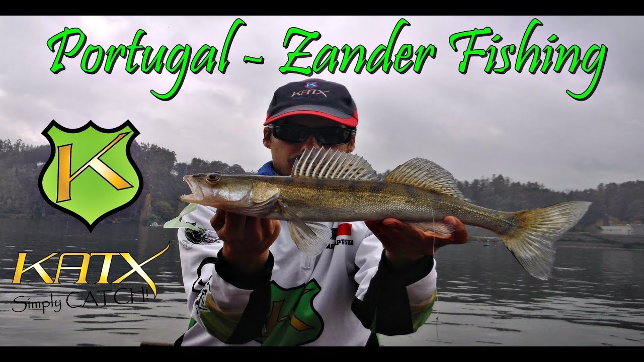 Portugal - Rio Douro - Zander Fishing
