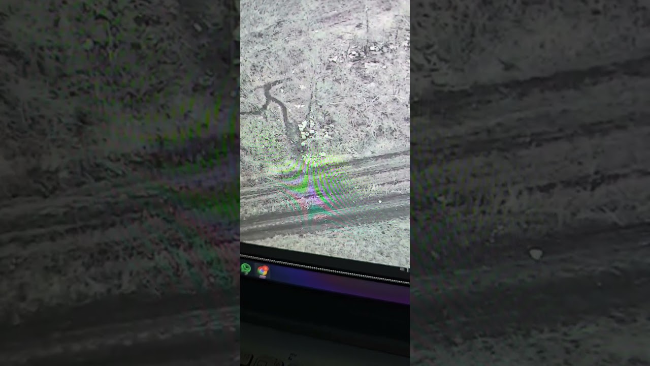 більше 60 тм бала бум