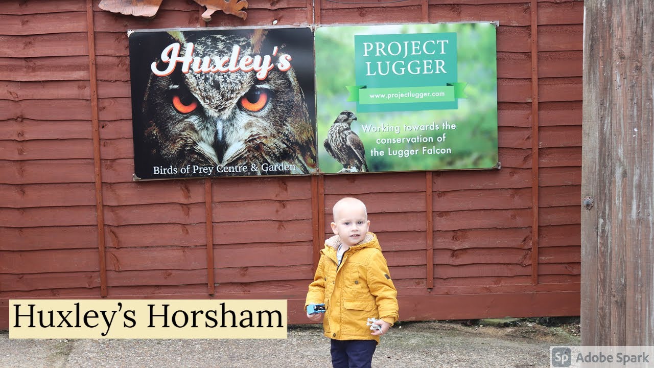 Huxley's Birds of Prey Centre, Horsham, West Sussex