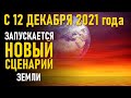 Иерархия Высшего Света и Галактический Комитет запускают новый сценарий для жителей 3D Матрицы.