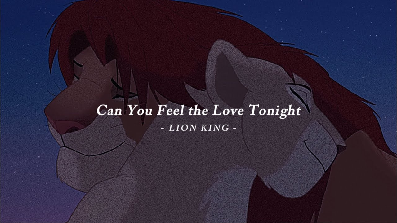 【和訳】Can You Feel the Love Tonight - ライオンキング