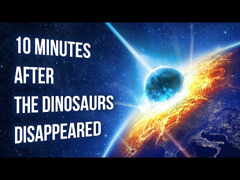 Watch What Happened 10 Minutes After the Dinosaurs Disappeared