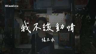 楊不乖 - 我不該動情『想過找你 我卻沒有勇氣 有一種方式死心 是找個人代替你 可惜我生命裡除了你 誰也走不進去』【動態歌詞/PinyinLyrics】