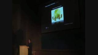 1/5 Where Are We Going part 1. Peter Joseph.mp4