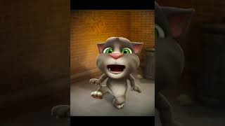 Crying To Dangerous Cat... 65