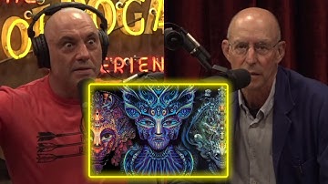 Joe Rogan: What is DMT like? | Joe Rogan Experience