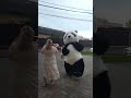 ПРИКОЛЬНЫЙ ПОДАРОК ОТ КОЛЛЕКТИВА ))))