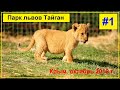 Парк львов  🦁🐯Тайган 1 серия / Park Lviv "Taigan" Crimea Russia 1 series