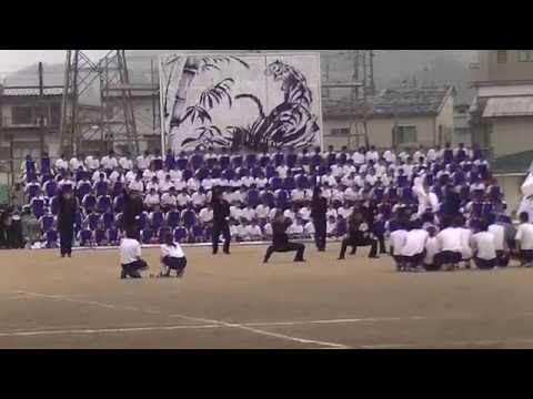 【岐阜】2016斐太高校体育祭　応援合戦　～青団～