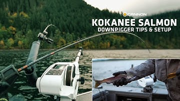Downrigger Trolling for Kokanee - Tips & How to Setup