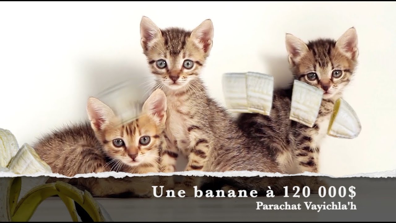 Une banane à 120 000$
