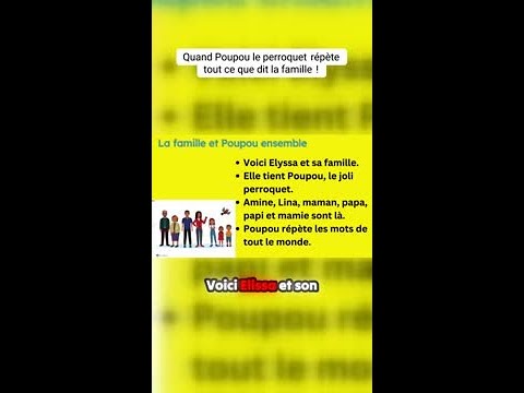 Quand Poupou Le Perroquet Répète Tout Ce Que Dit La Famille