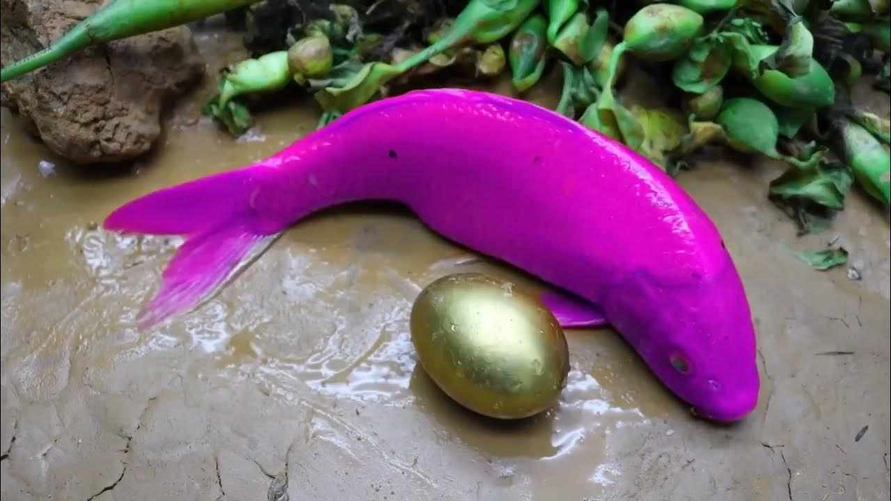 Stop Motion Cooking Skeleton Colorful Koi Fish Cute Turtle Python Egg ...
