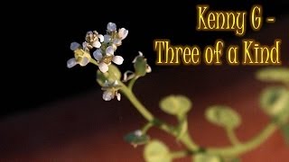 Video thumbnail of "Kenny G - Three of a Kind"