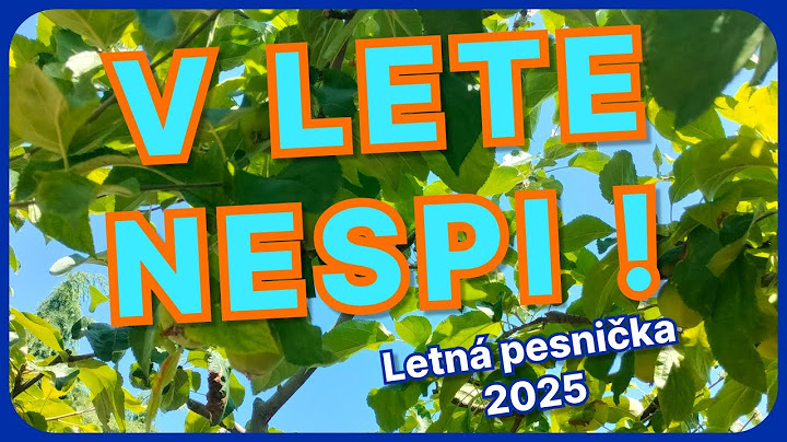 V lete nespi ! - LETNÁ PESNIČKA 2025