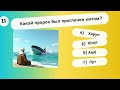 99% не отвечают на все вопросы! Проверь свои знания о пророках 🕌