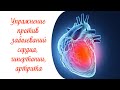 Простое и эффективное упражнение против заболеваний сердца, гипертонии и артрита конечностей