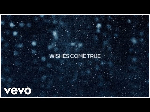 Duncan Laurence - Wishes Come True