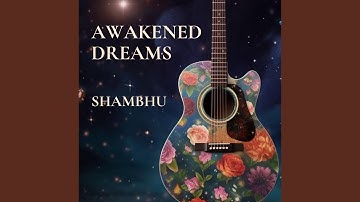 Awakened Dreams
