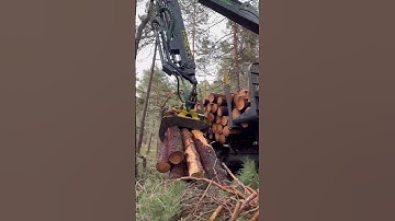 “Precision in forestry :High-tech forwarder in action “ #heavymachinery #johndeere #viralvideo #tree
