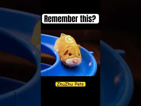 Remember When People Scalped ZhuZhu Pets Nostalgia