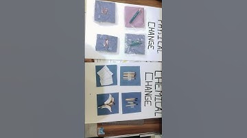 Chart on Physical and Chemical changes #school #project #work #changes ⭐✨