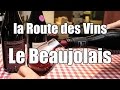La Route des vins -  Le Beaujolais Nouveau - Film documentaire