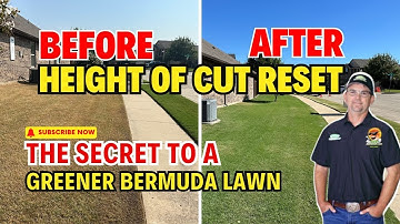 Final Result: Height of Cut Reset, Mowing Your Bermuda at 1.5 Inch