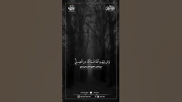 ماتيسر من سورة الزمر | القارئ: عاصم الهوساوي