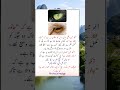 Allah ki Qudrat | Mashalllah ❤️ | Beautiful Creation of Allah Almighty #reels #Line in Animal Eye