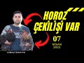 ÇEKİLİŞ VAR !!! HİNT HOROZU ÇEKİLİŞİNE KATILMAK İSTERMİSİN?