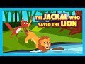 THE JACKAL WHO SAVED THE LION - ENGLISH STORIES || KIDS HUT STORIES- MORAL STORIES