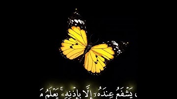 صباح الخير 🦋 اجمل حالات واتس اب 🦋قران كريم سورة البقره اية الكرسي الله لا اله الا هو🦋بدون حقوق
