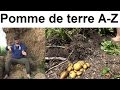 Pommes de terre A à Z  (presque)