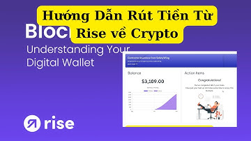Hướng dẫn rút tiền quỹ từ ví RISE  về Ví Crypto ( USDT, USDC , BTC...)