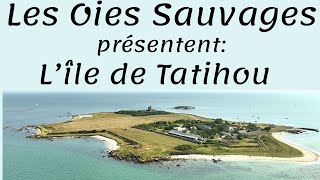 Île de Tatihou (dans la Manche) en drone !