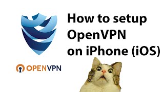 How to setup OpenVPN on iPhone and iPad screenshot 3