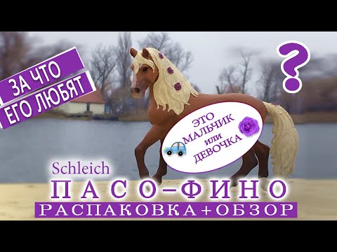 Видео: Порода лошадей Пасо Фино гипоаллергенна, здоровье и продолжительность жизни