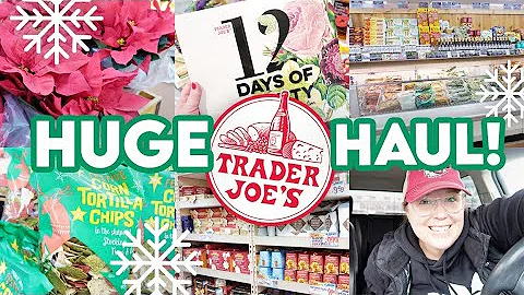 ⭐ VLOGMAS DAY 14! 🎄 HUGE $250 TRADER JOE&#039;S HAUL! ⛄ GIFT IDEAS + GROCERIES