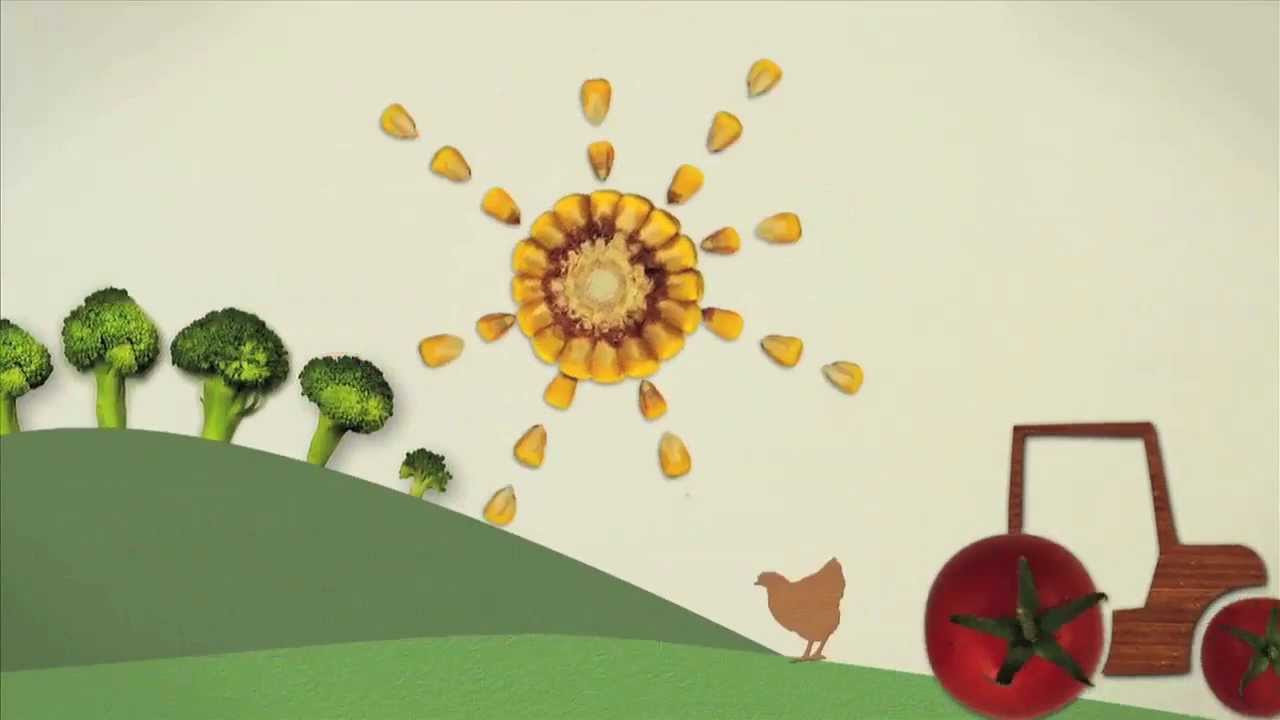 Food Rules For Healthy People And Plante Food Rules For Healthy People And Plante