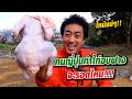 ไก่อบฟางคนญี่ปุ่นทำเลียนแบบคนไทยจะรอดไหมหรือจะไหม้ดำเป็นตอตะโก!!!! | SUGOI JAPAN | Ep349