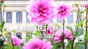 Comment visiter le Jardin des plantes ?