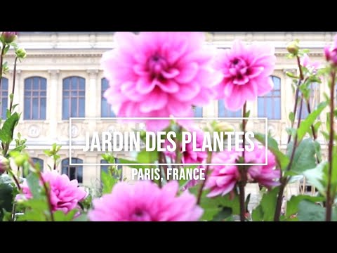 Planes originales en París: lo que quizás no conocías