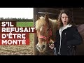 Si poney refusait dtre mont