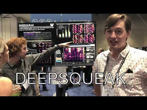 Atomic Brains - DEEPSQUEAK a Rodent Vocalization Translator